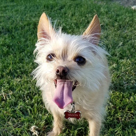 Meet your Posher, Lea - Picture 1 of 1